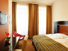 Zimmerbild 11