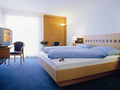 Zimmerbild 6
