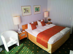 Zimmerbild 11