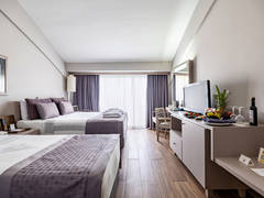 Zimmerbild 8