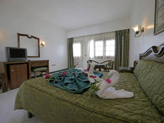 Zimmerbild 6