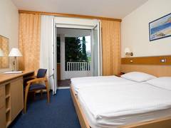Zimmerbild 9