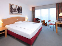 Zimmerbild 13