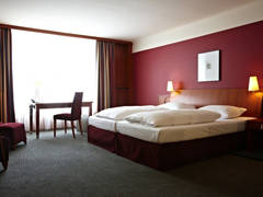 Zimmerbild 12