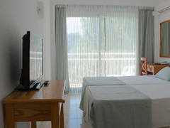 Zimmerbild 10