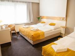 Zimmerbild 10