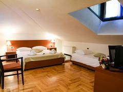 Zimmerbild 21