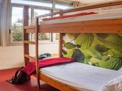 Zimmerbild 0