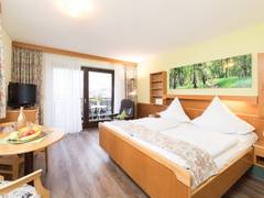 Zimmerbild 2