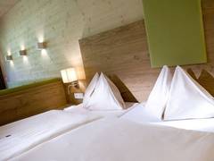 Zimmerbild 7
