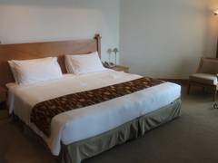 Zimmerbild 11