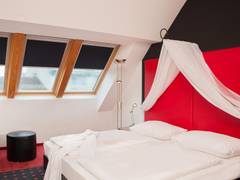 Zimmerbild 6