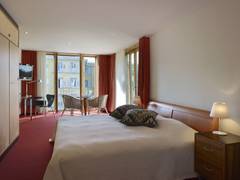 Zimmerbild 12
