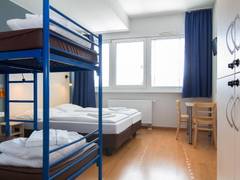 Zimmerbild 11