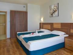 Zimmerbild 6