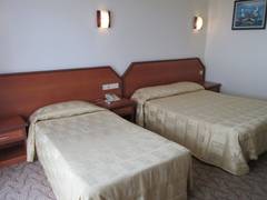 Zimmerbild 1