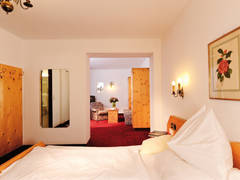 Zimmerbild 5