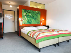 Zimmerbild 5