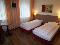 Zimmerbild 9