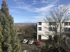 Zimmerbild 8