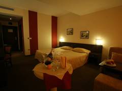 Zimmerbild 6