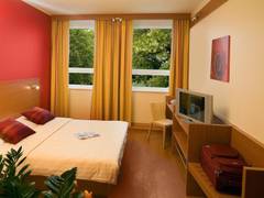 Zimmerbild 4