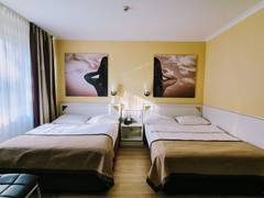 Zimmerbild 6