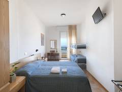 Zimmerbild 1