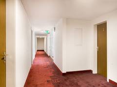 Zimmerbild 1