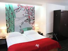 Zimmerbild 8