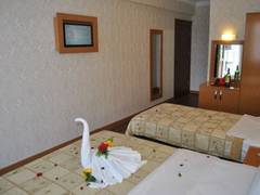 Zimmerbild 3