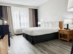 Zimmerbild 2