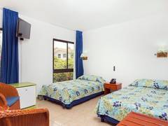 Zimmerbild 7