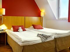 Zimmerbild 21