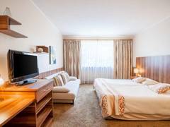 Zimmerbild 1