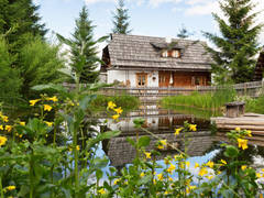 Zimmerbild 9