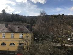 Zimmerbild 1