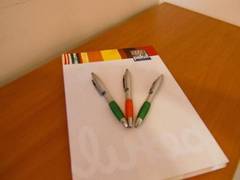 Zimmerbild 2