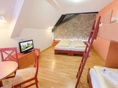 Zimmerbild 2