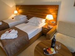 Zimmerbild 1
