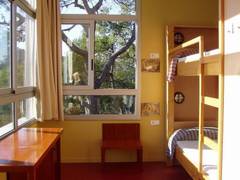 Zimmerbild 1