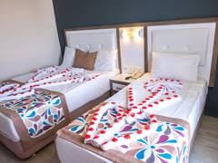 Zimmerbild 3