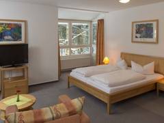 Zimmerbild 3