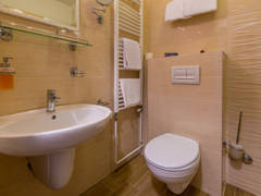 Zimmerbild 6