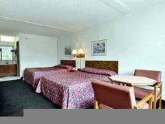 Zimmerbild 10