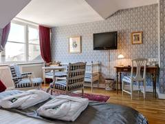 Zimmerbild 11
