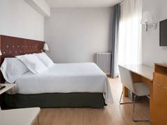 Zimmerbild 11