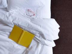 Zimmerbild 8