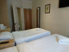 Zimmerbild 11