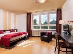 Zimmerbild 15